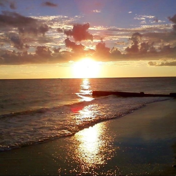 Any removal requests? No hard feelings! Lemme know! Updating list!TAGLIST SIGNUP - Picture 2 of 12